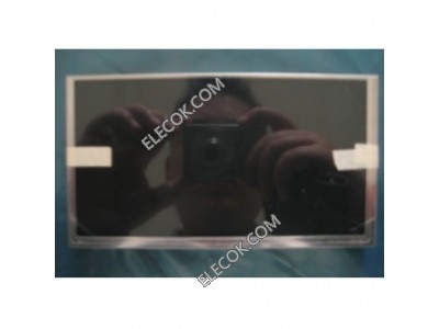 C065GW02 V1 6.5" a-Si TFT-LCD Panel for AUO