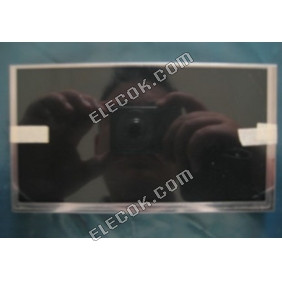 C065GW01 V0 AUO 6,5" a-Si TFT-LCD Panel 