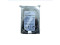 Seagate/Seagate ST3000DM001 3T desktop hard drive 3tb surveillance video recorder hard drive
