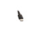 LA165PM210 28V 5,893A 165W 165.0W TYPE-C USB-C DA165PM210 HA165PM210 AC Adapter Pro DELL Notebook Napájecí Zdroj Charger 