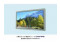 AA090AA01 Mitsubishi 9.0" A-Si TFT-LCD Panel 
